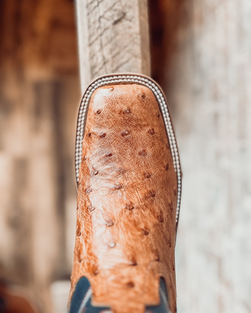 Anderson Bean Brandy Bruciato Ostrich Western Boot S3016 | COWBOYS
